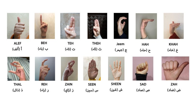 RGB Arabic Alphabets Sign Language Dataset