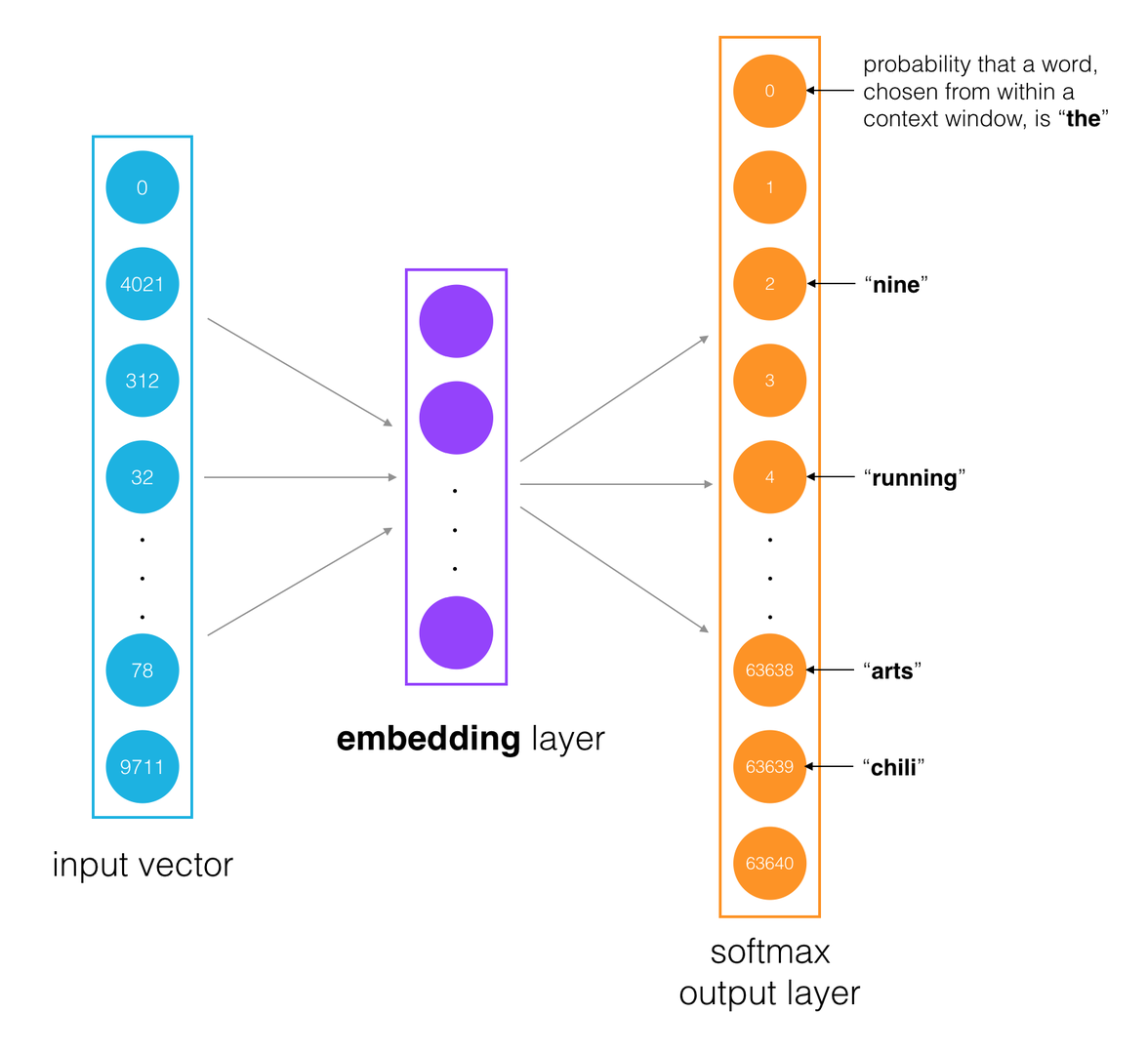 Architecture diagram of the Word2Vec skip-gram model mapping input words through an embedding layer to context word probabilities